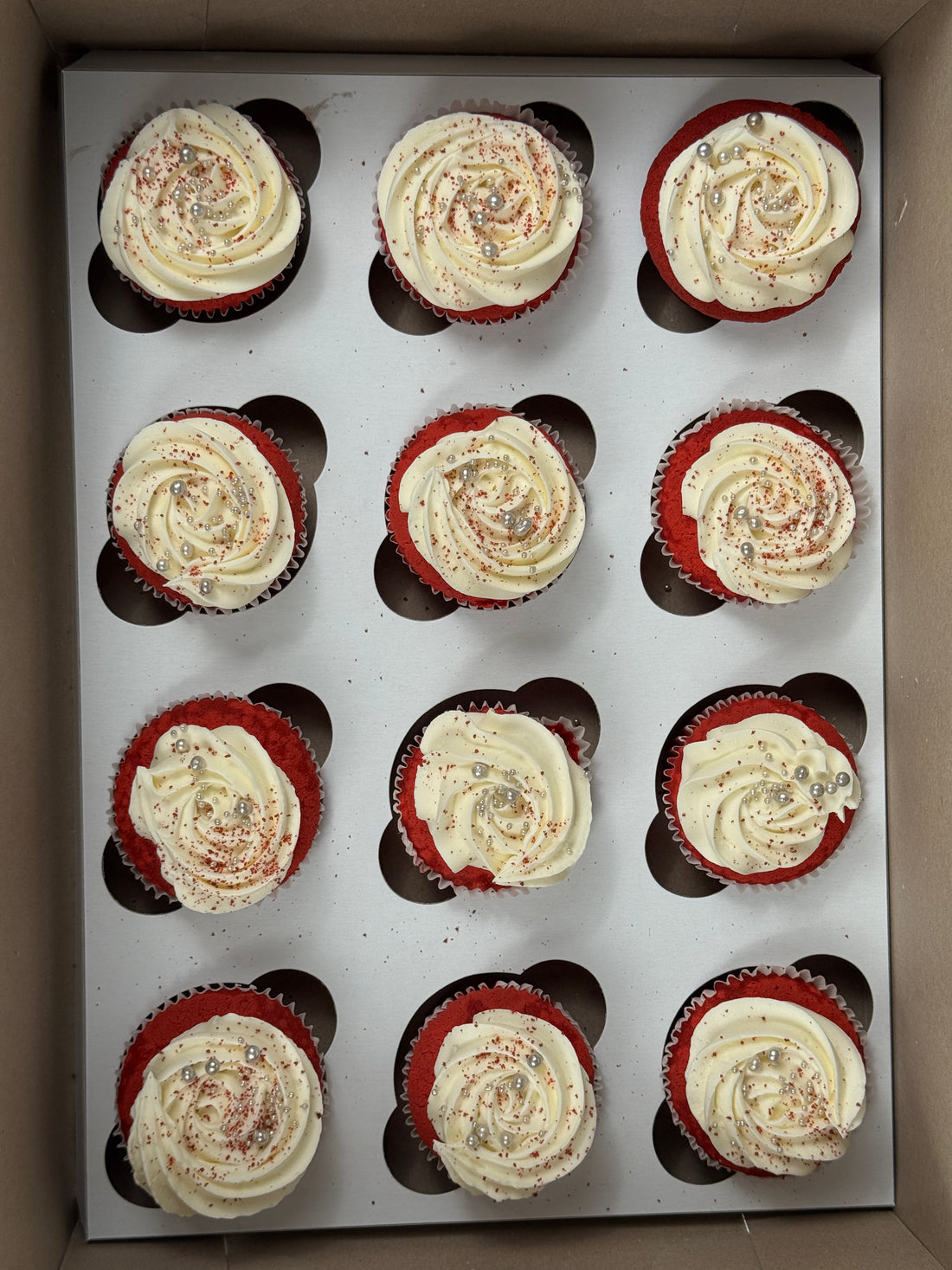 Cupcake - Red Velvet - WS