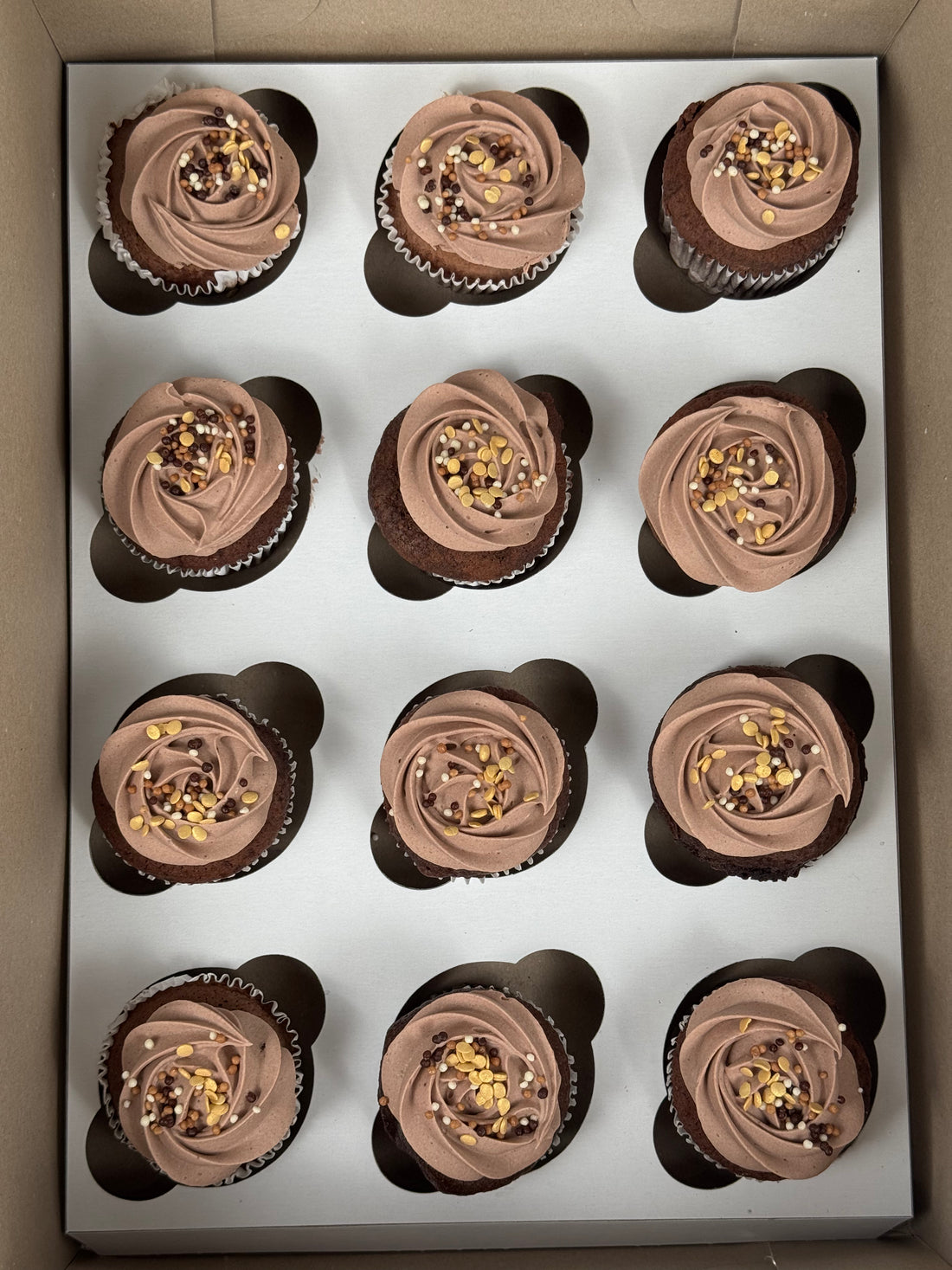 Cupcake - Chocolate - WS