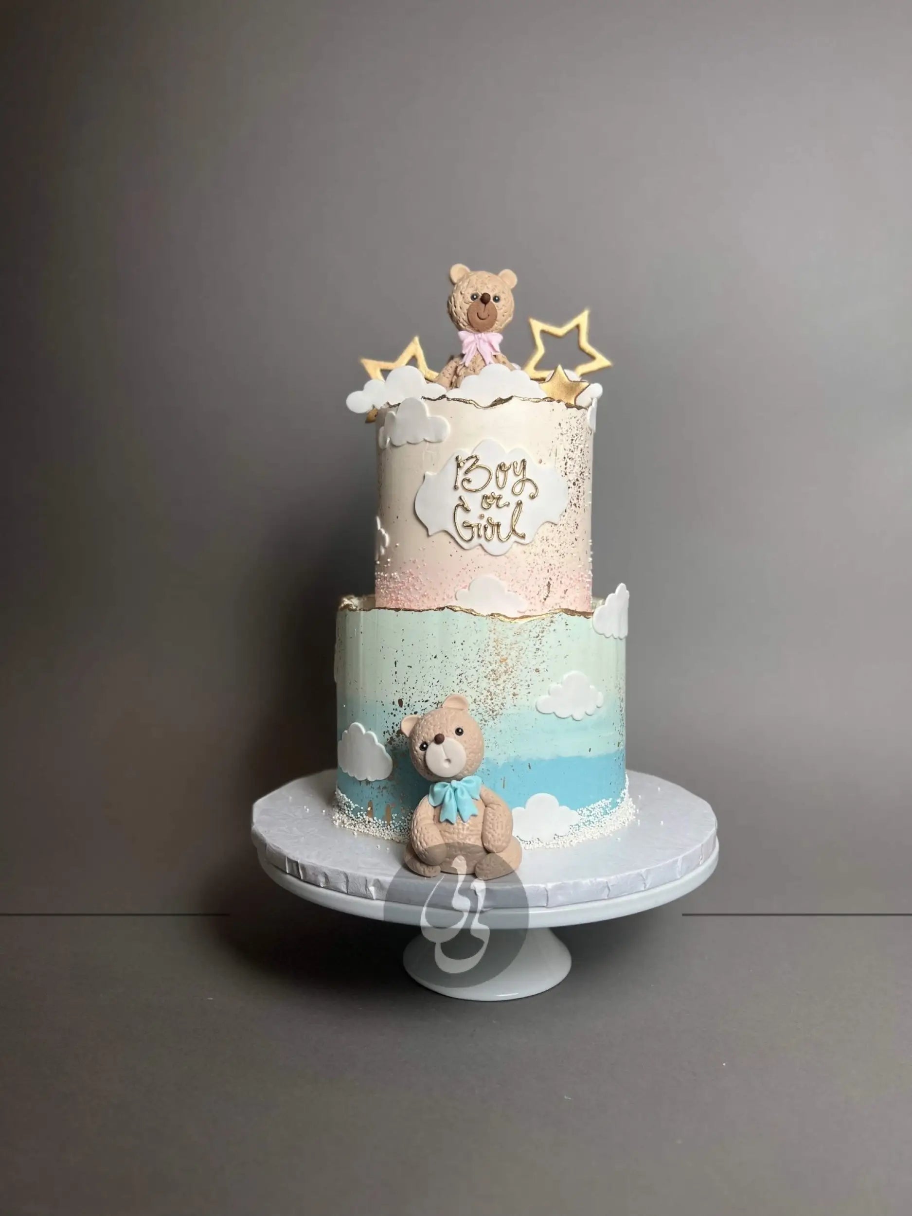 Animals on ombre buttercream - custom cake