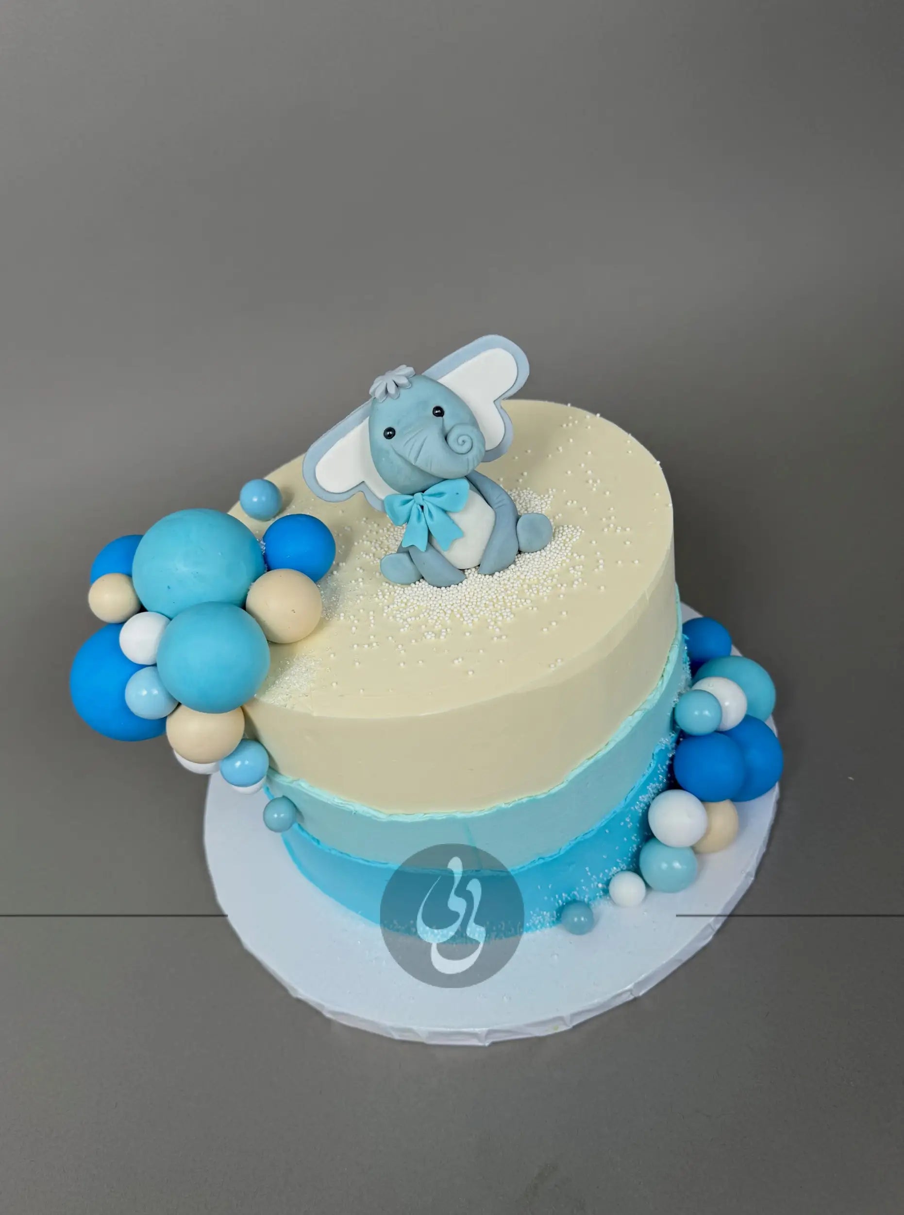 Animals & spheres - custom cake