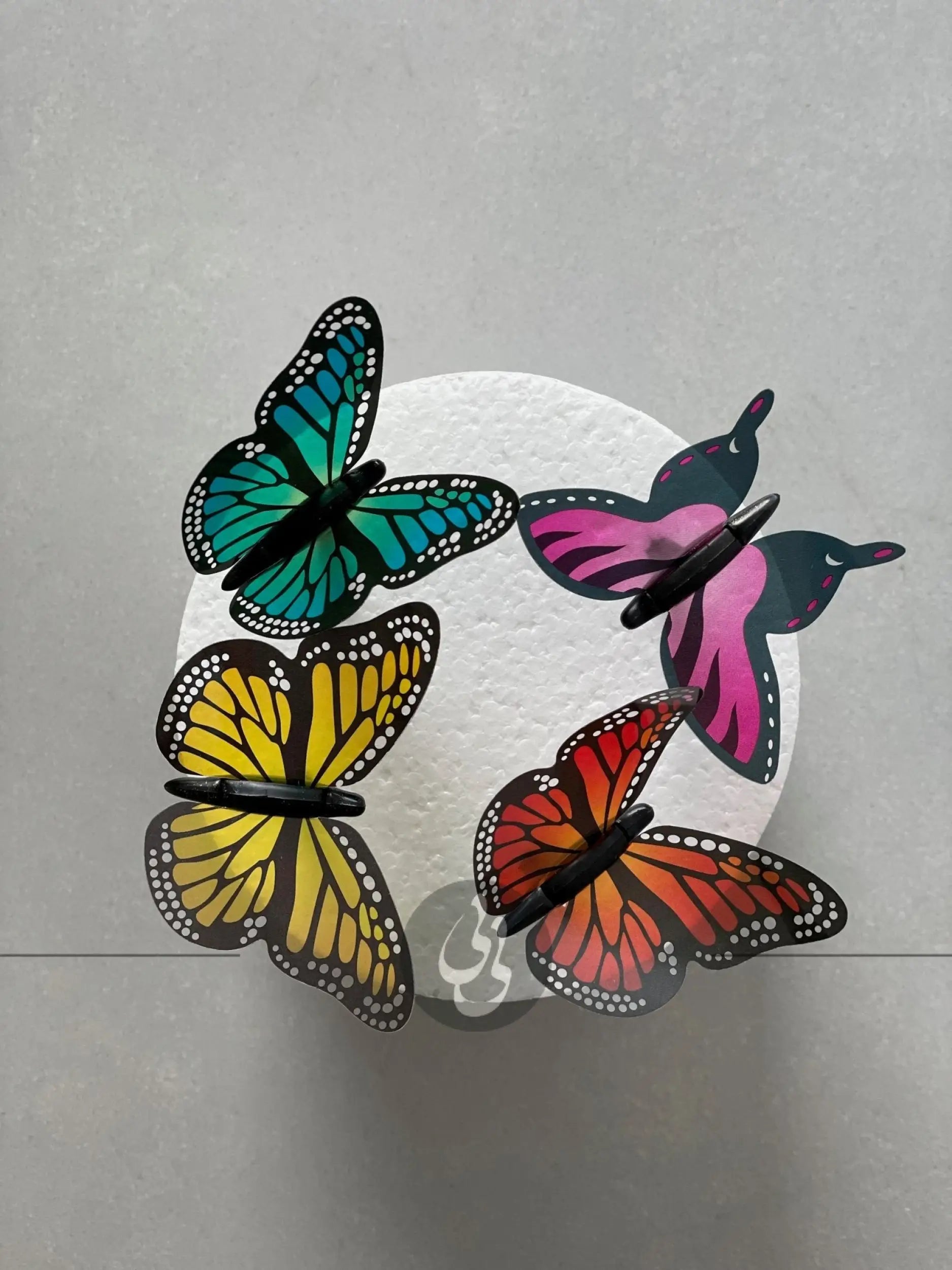 Butterfly on whipped cream - custom cake