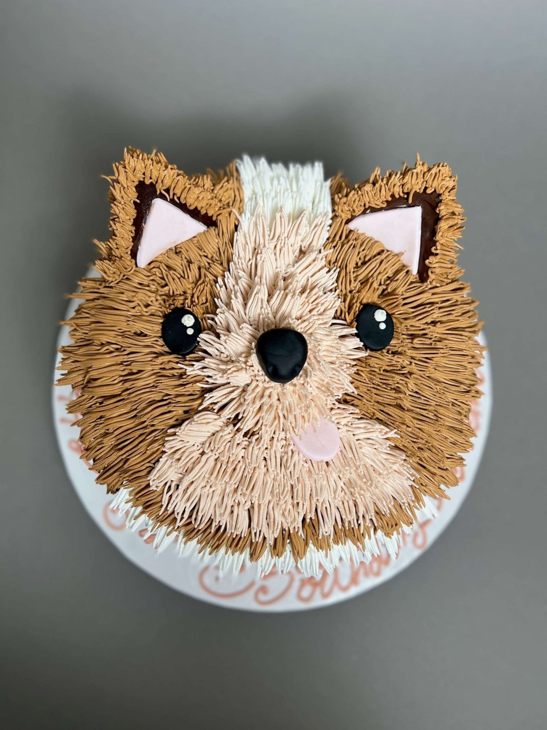 Furry animal friend face - custom cake