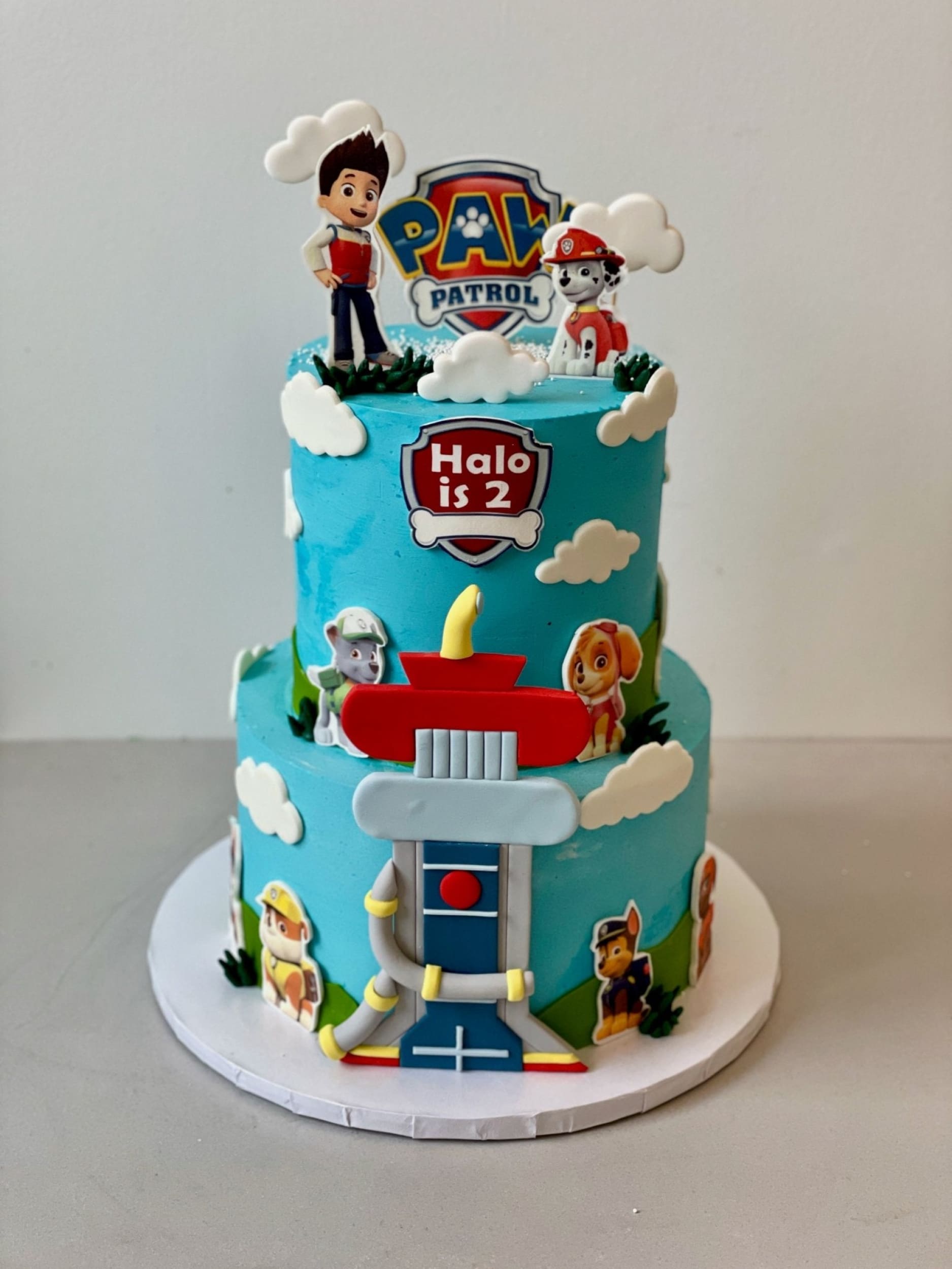 Paw patrol edible print on blue buttercream - custom cake
