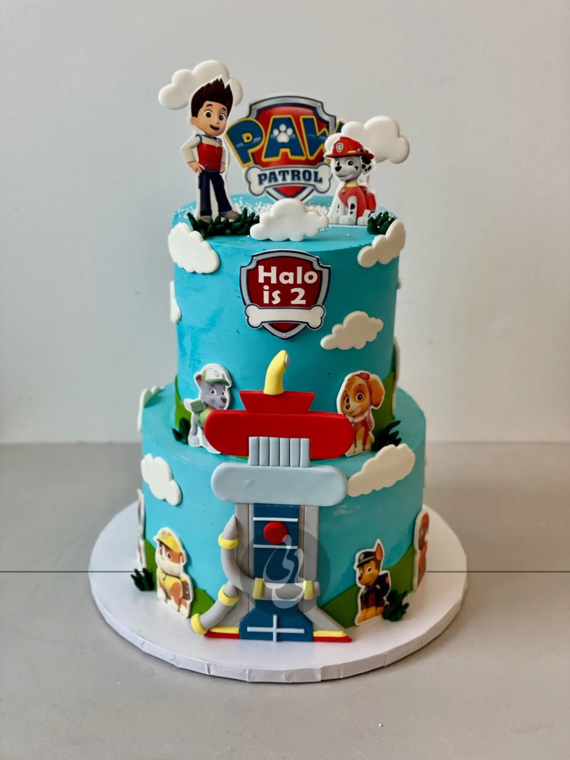 Paw patrol edible print on blue buttercream - custom cake