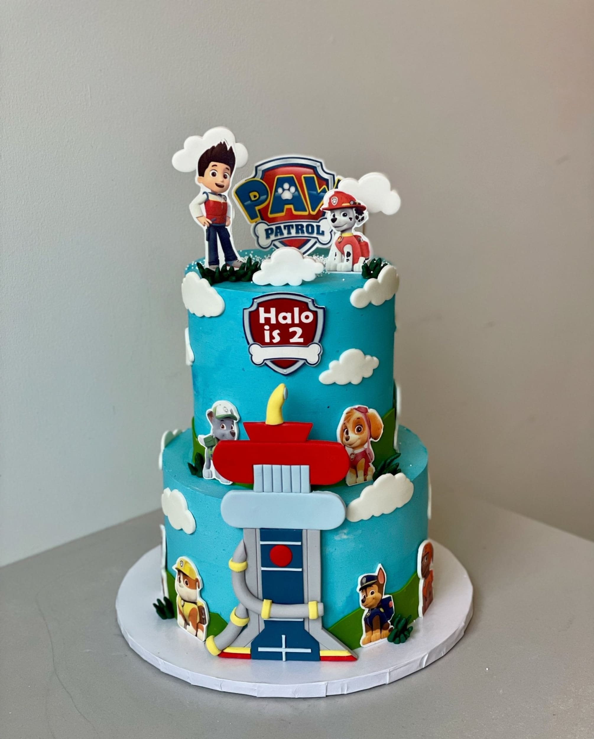Paw patrol edible print on blue buttercream - custom cake