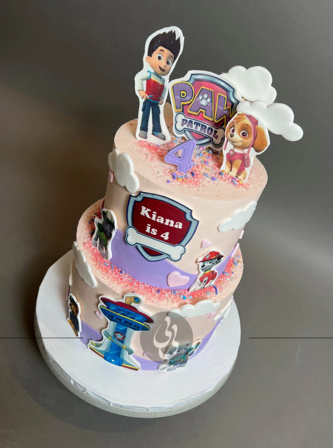 Paw patrol edible print on pink buttercream - custom cake