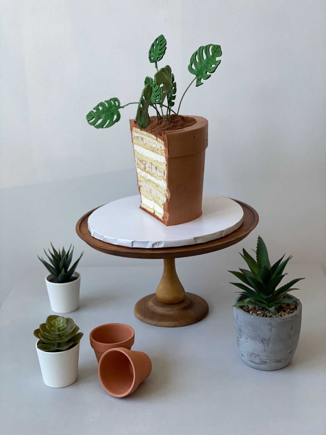 Potted plant - custom cake