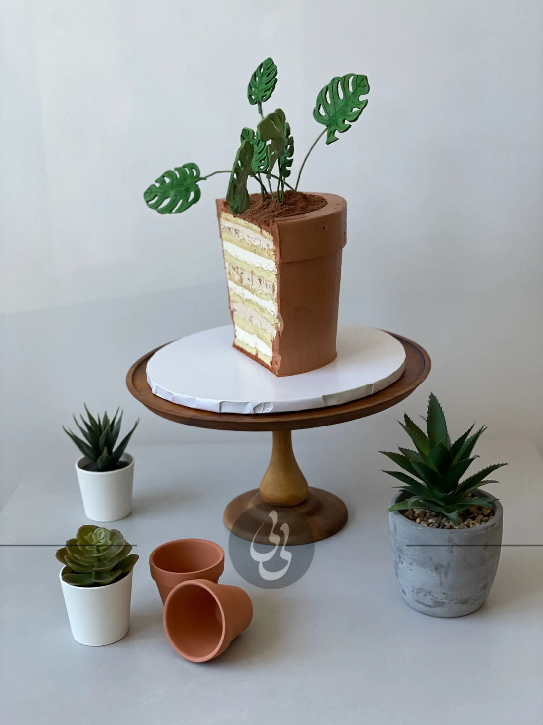 Potted plant - custom cake