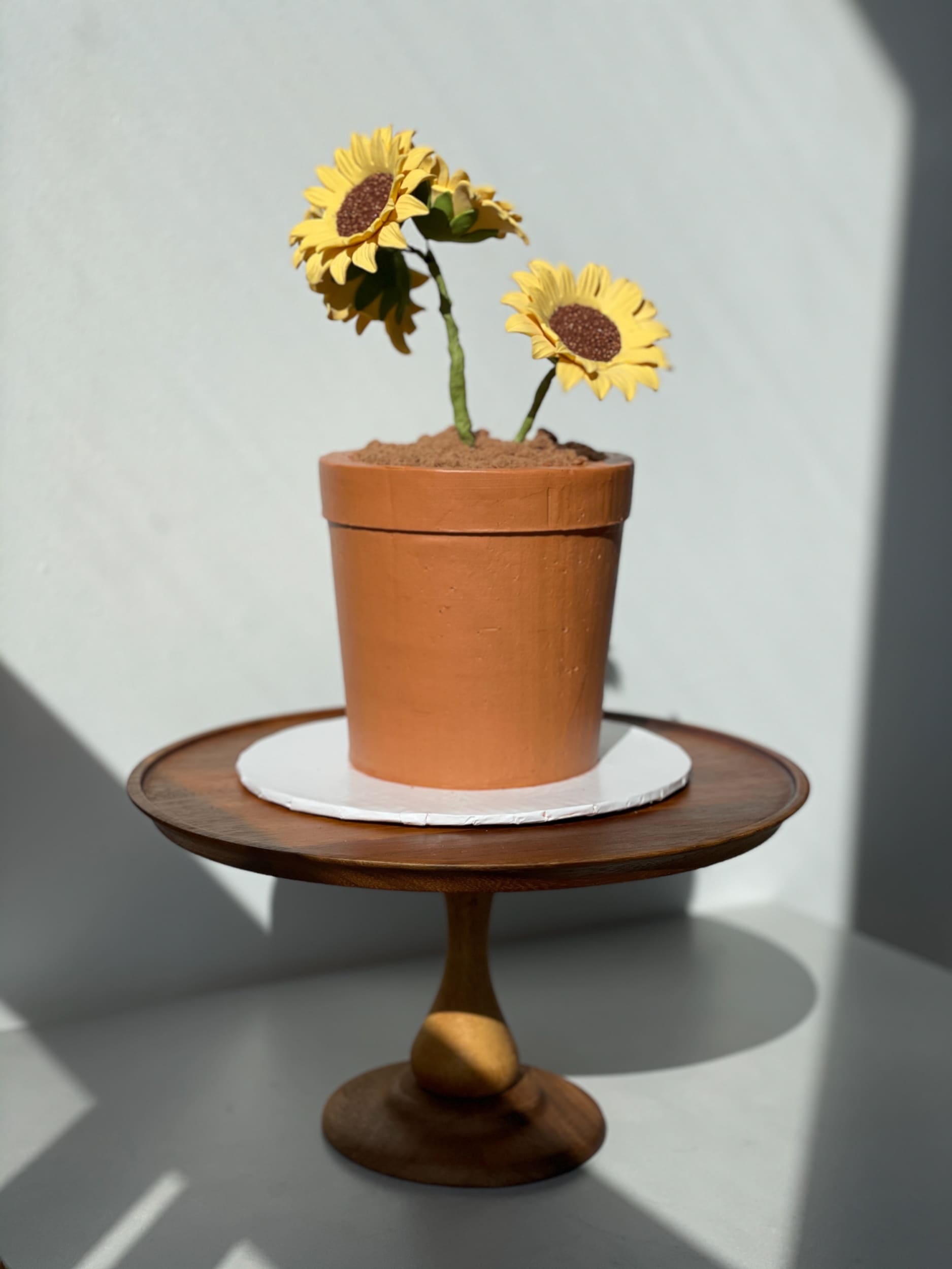 Potted plant - custom cake