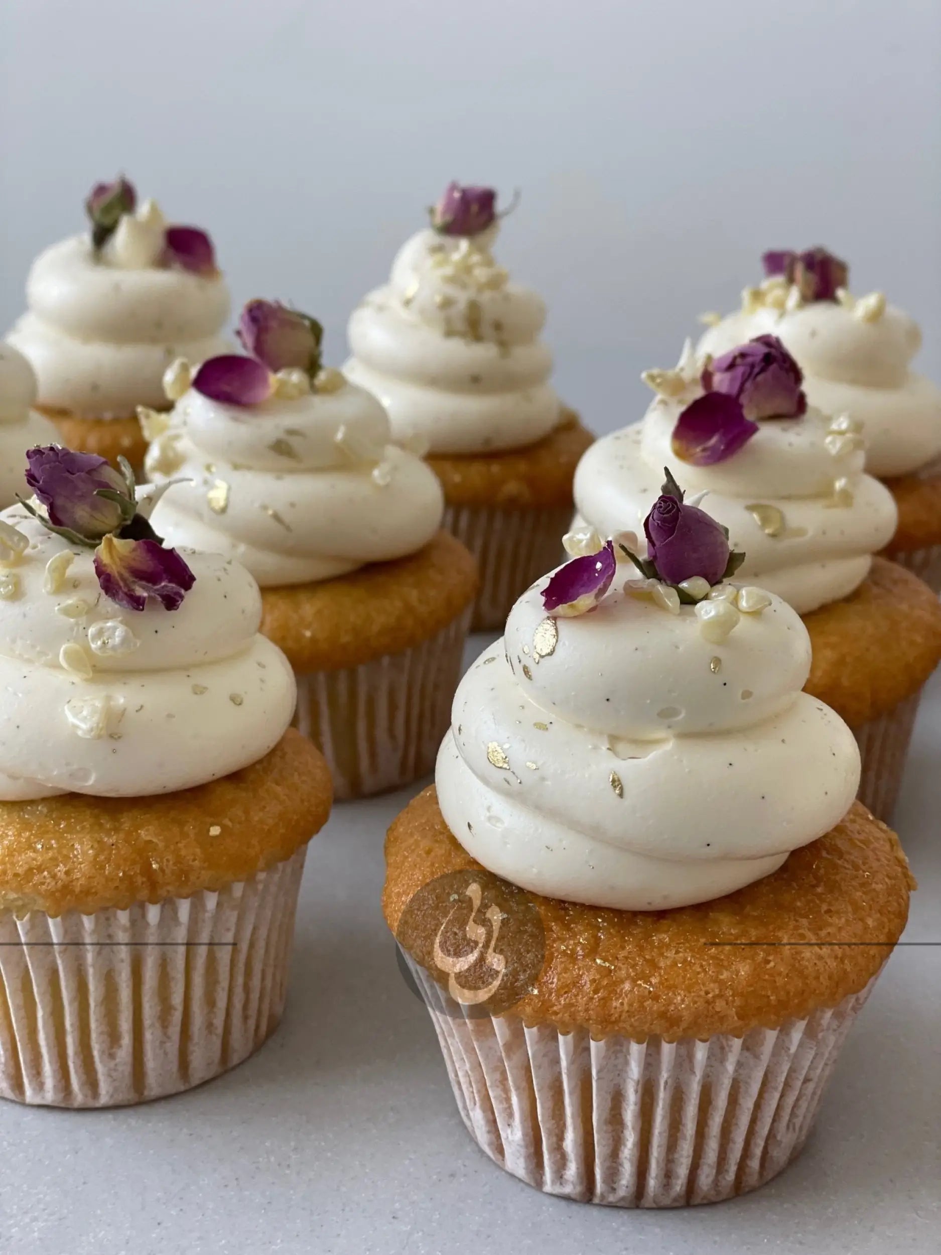 Vanilla cupcakes - cupcake