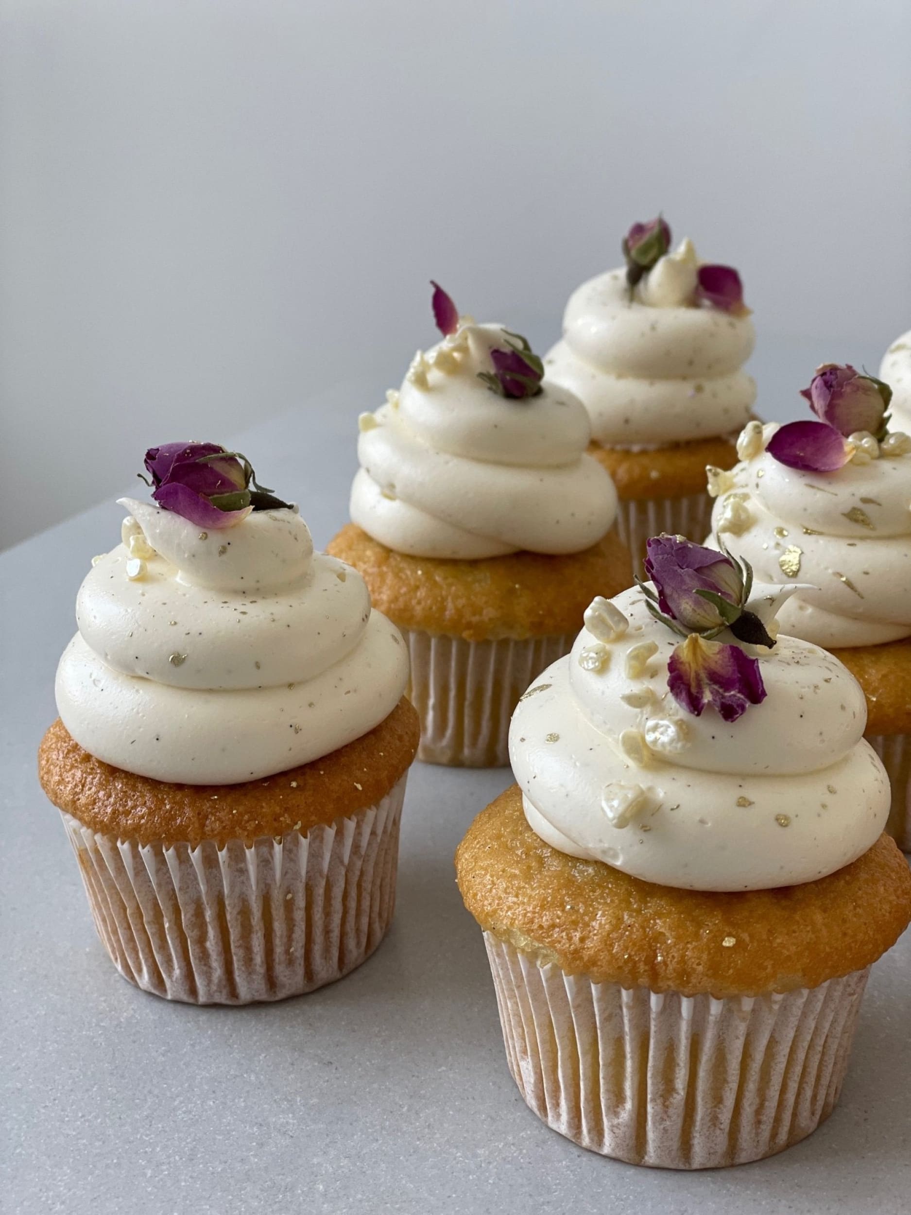 Vanilla cupcakes - cupcake