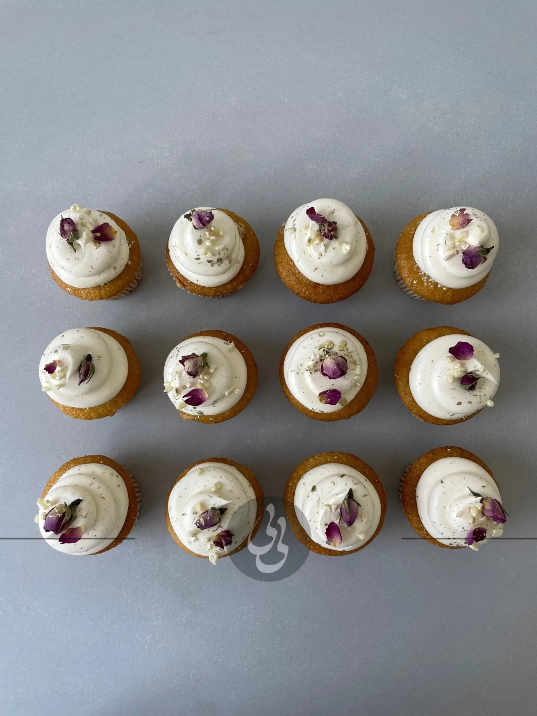 Vanilla cupcakes - cupcake