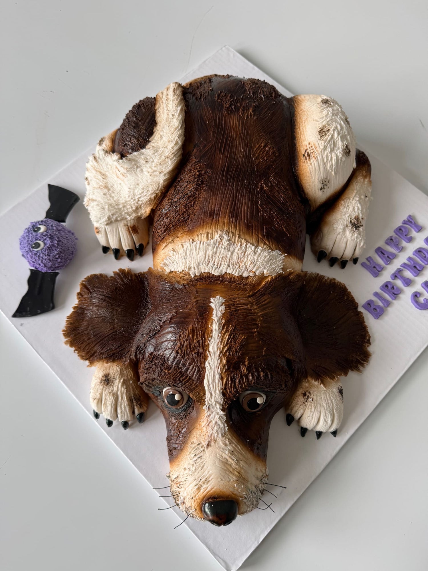3d animal - dog cake in fondant - custom cake