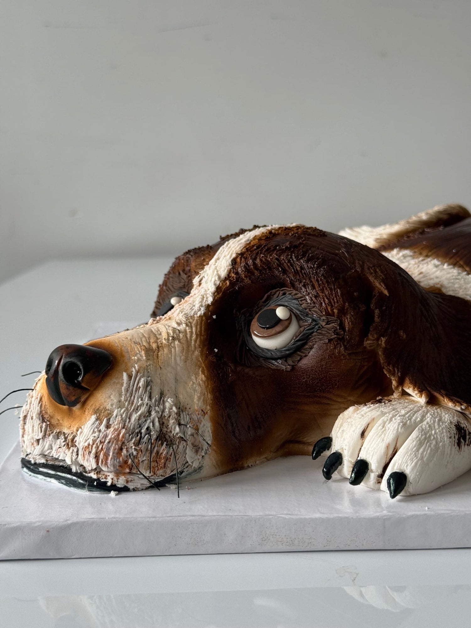 3d animal - dog cake in fondant - custom cake
