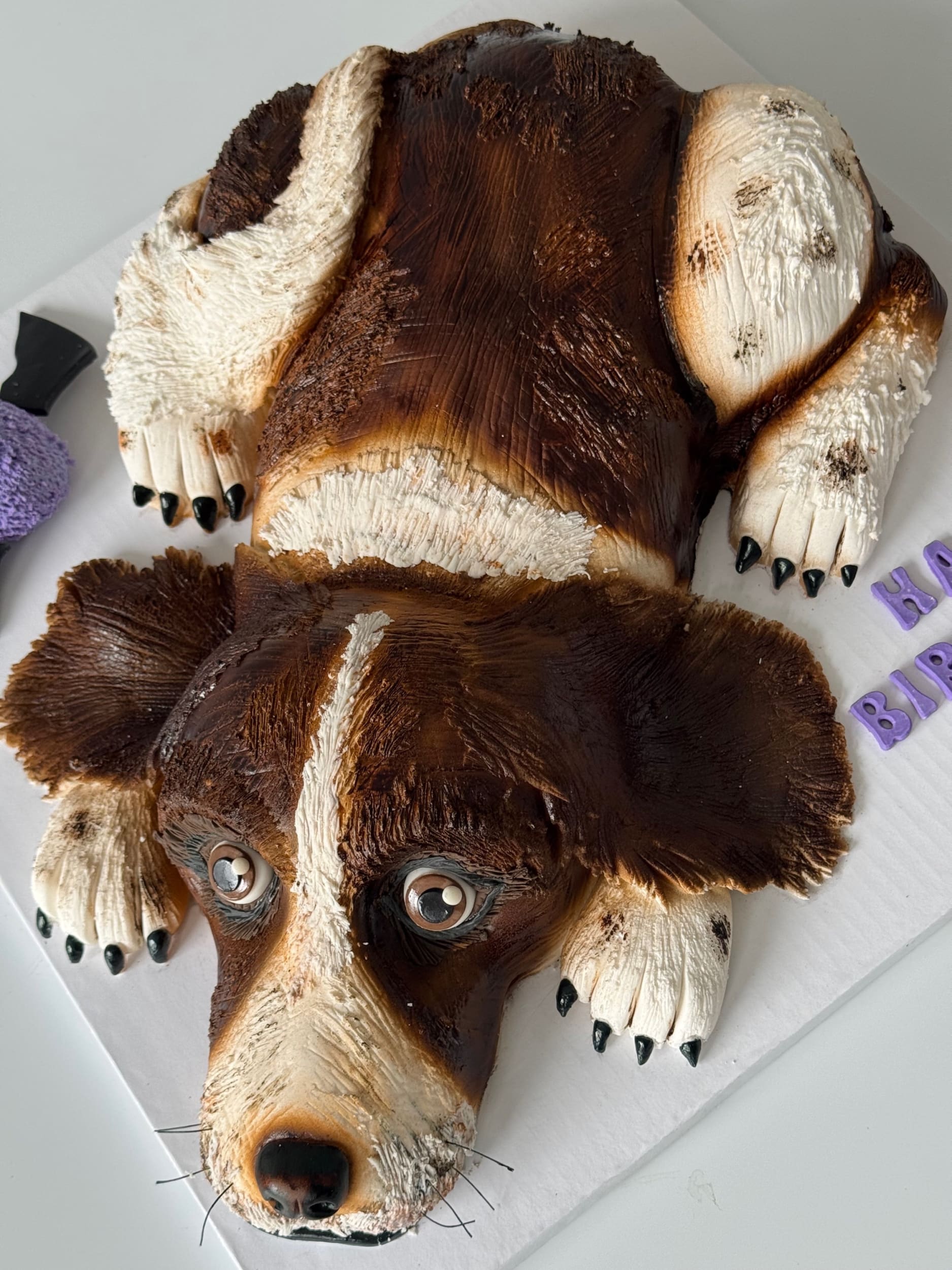 3d animal - dog cake in fondant - custom cake