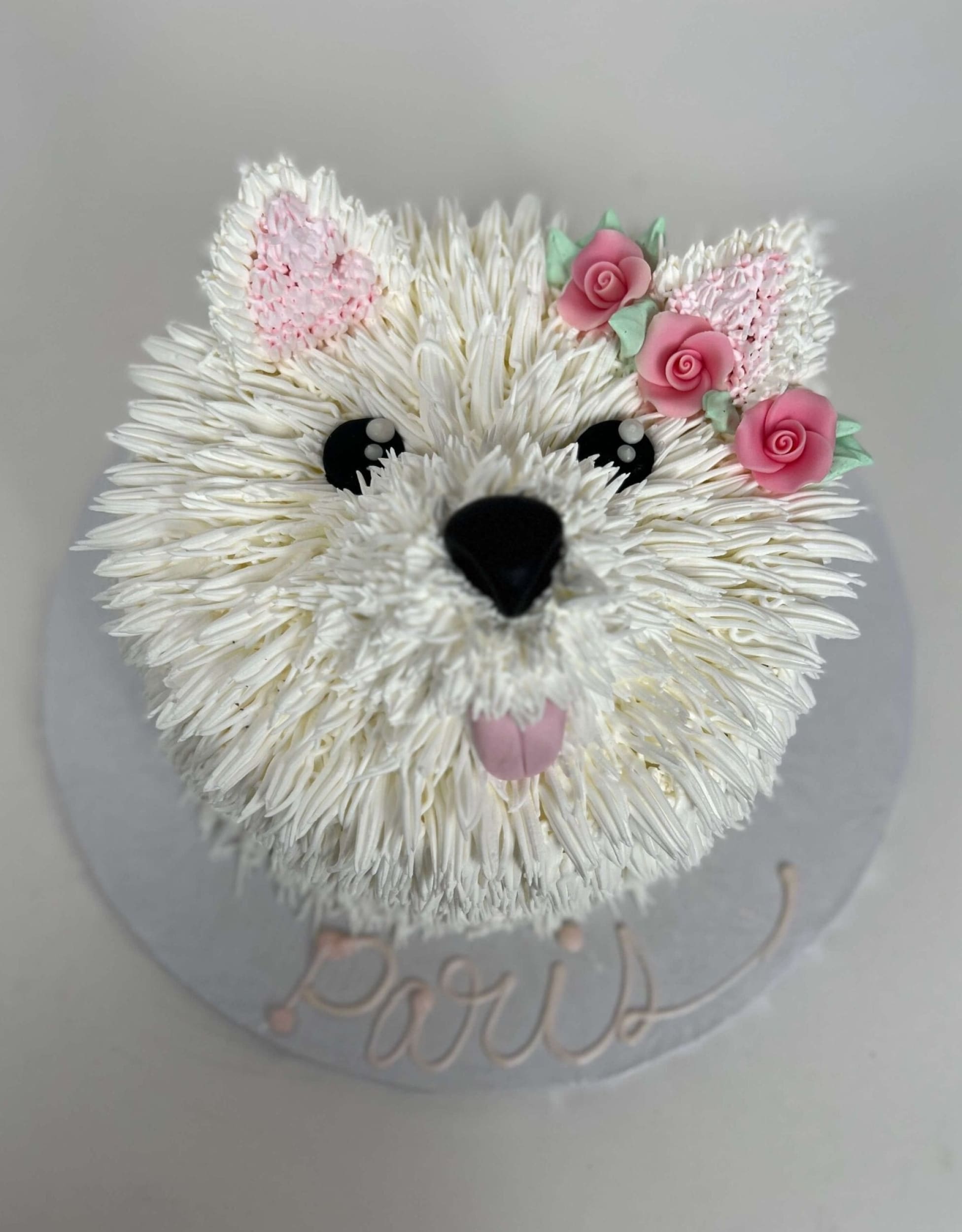 Furry animal friend face - custom cake