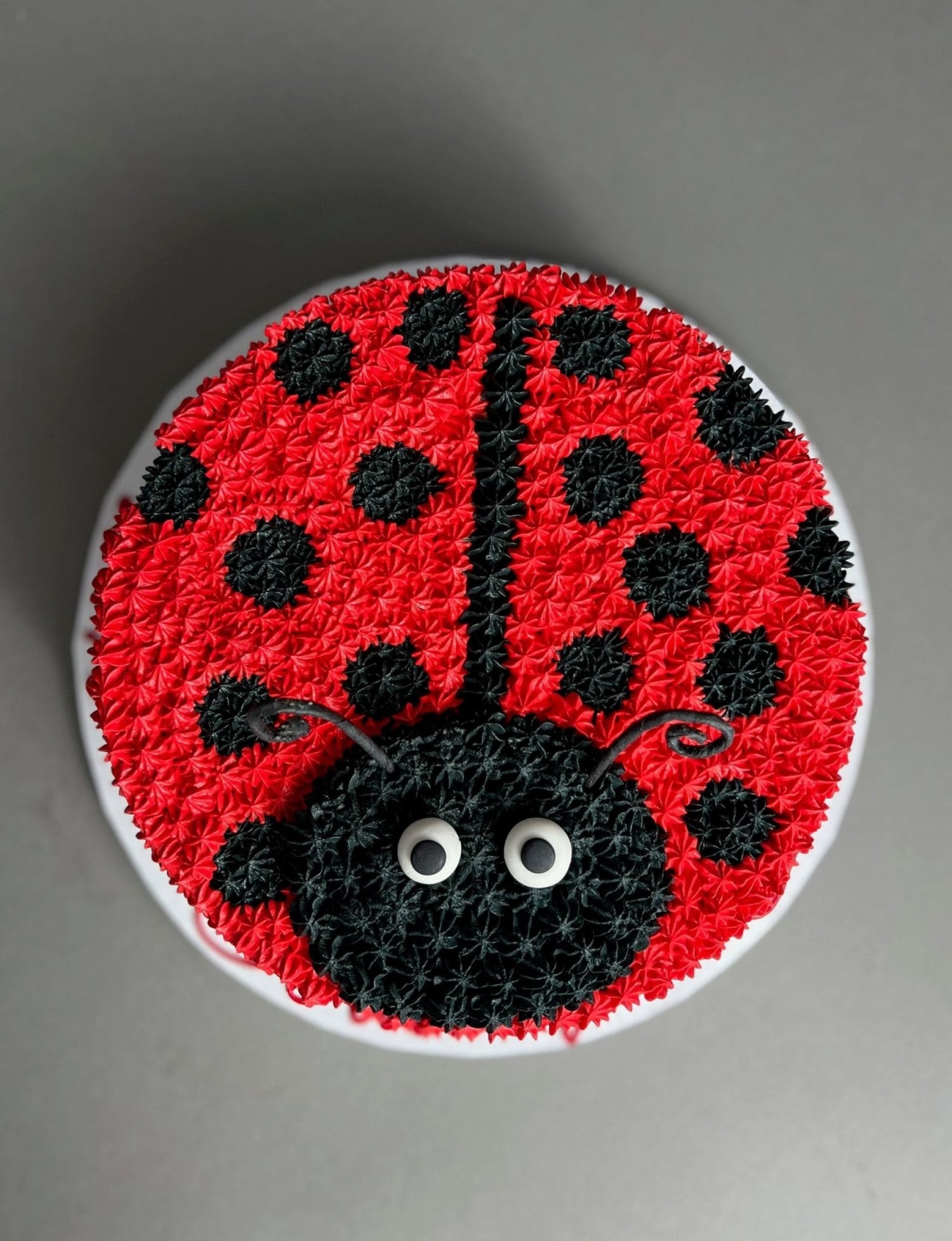Furry animal friend face - custom cake