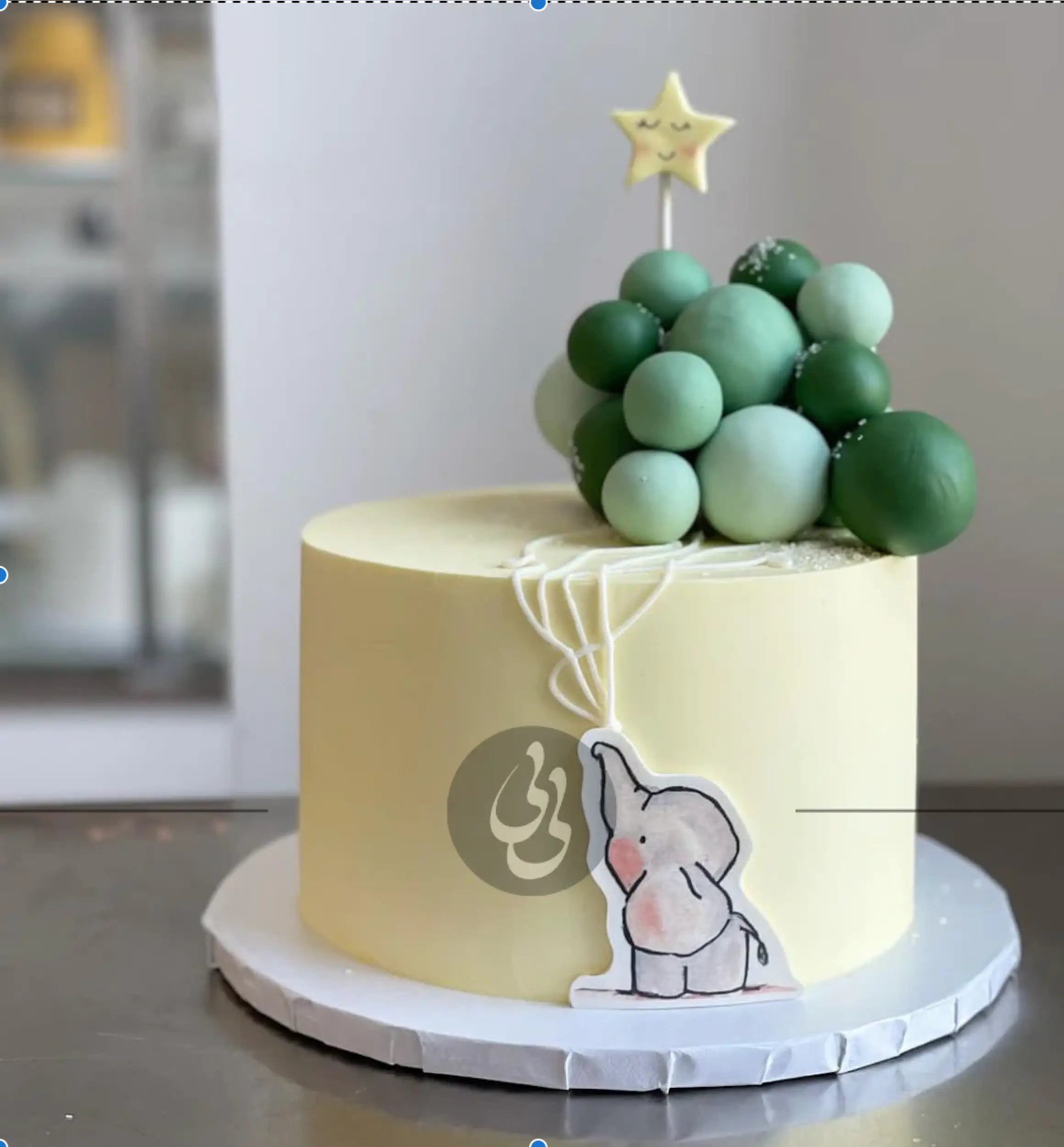 Gender reveal baby animal &amp; spheres - custom cake