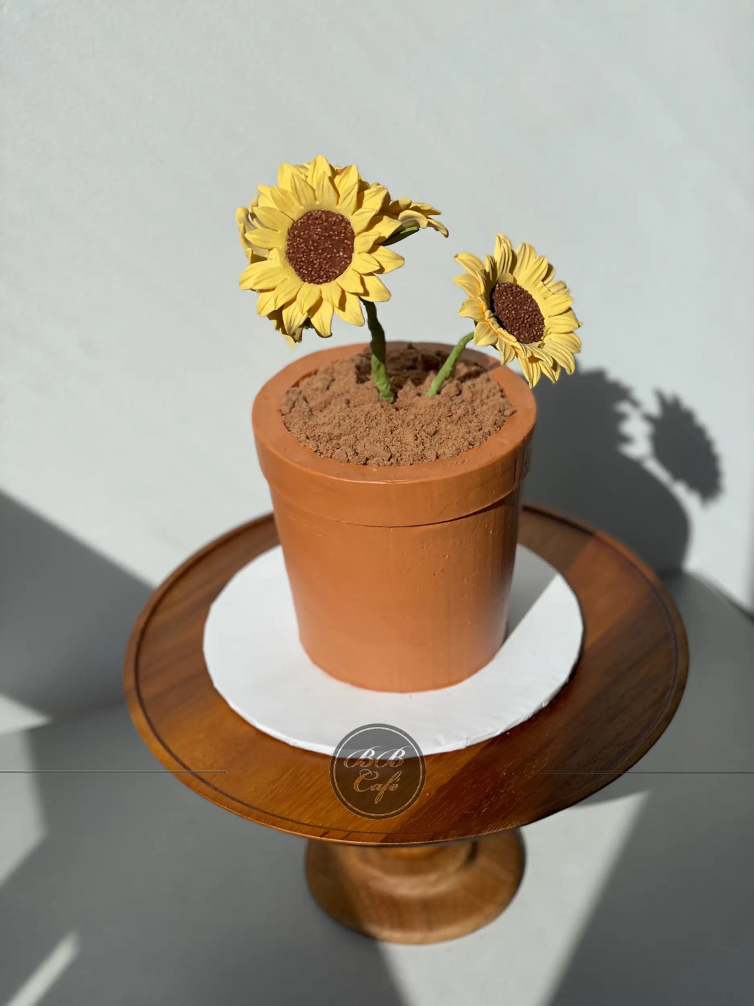 Potted plant - custom cake