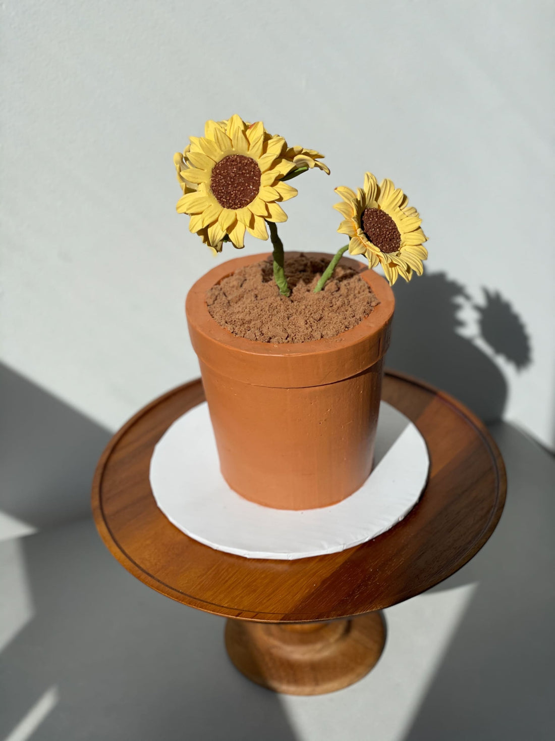 Potted plant - custom cake