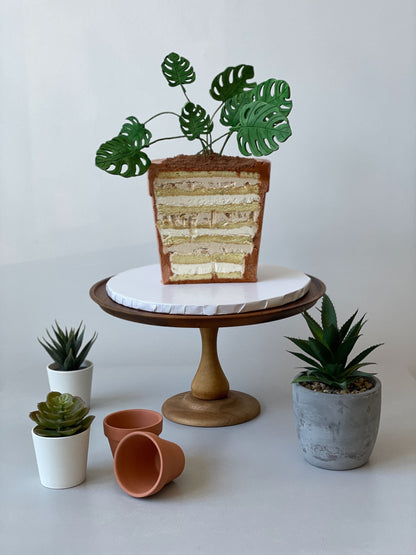 Potted plant - custom cake