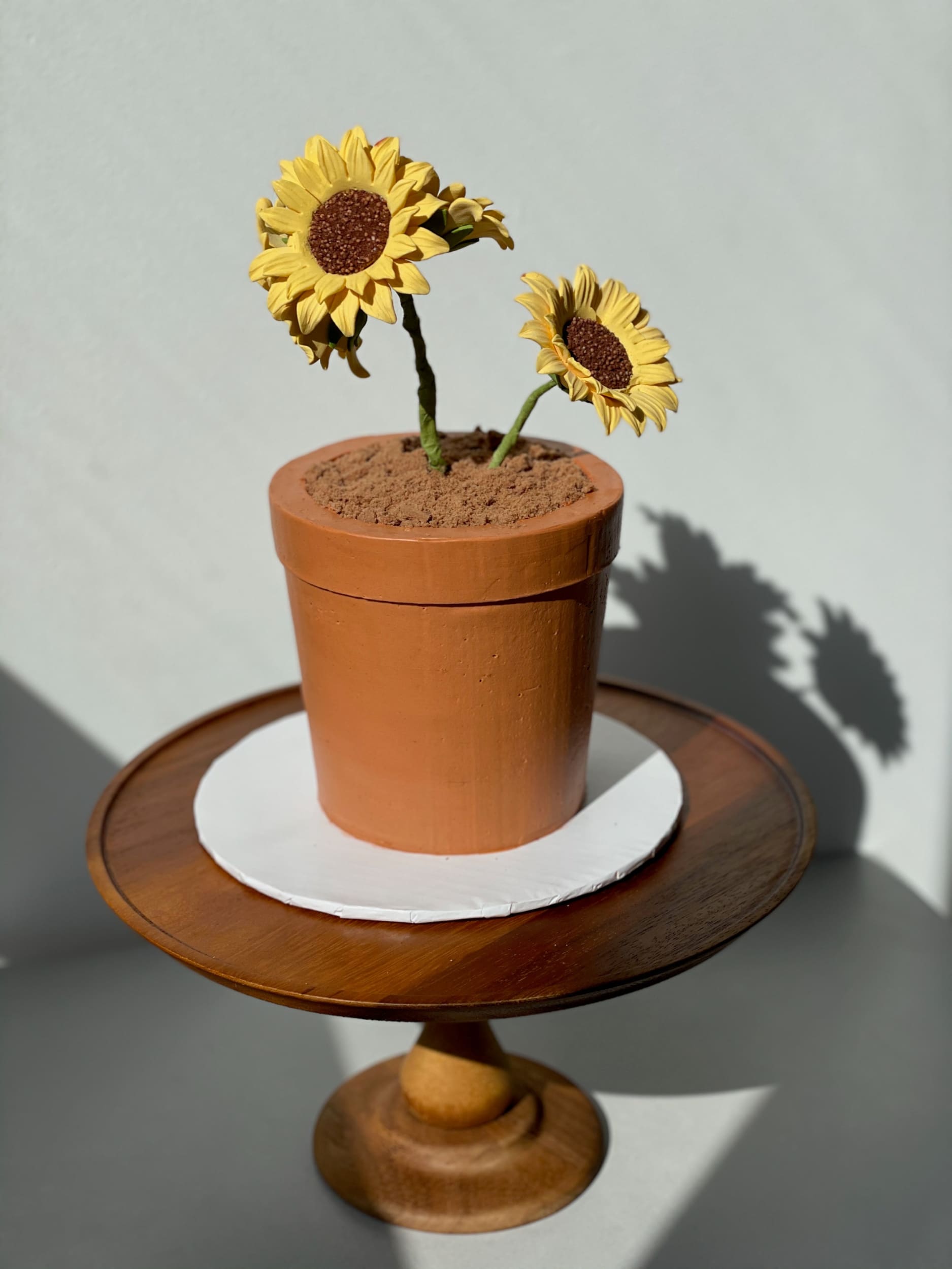 Potted plant - custom cake