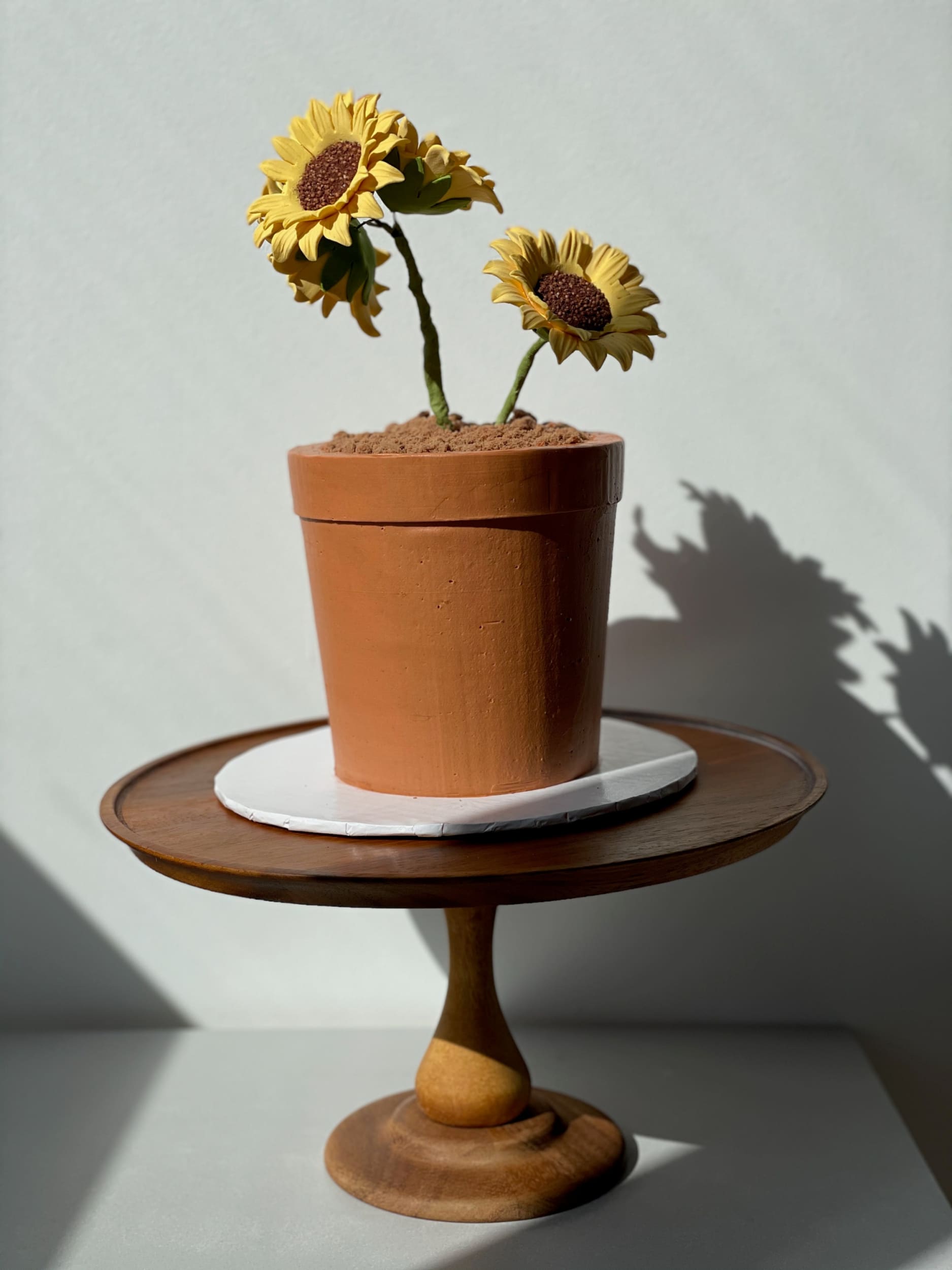 Potted plant - custom cake