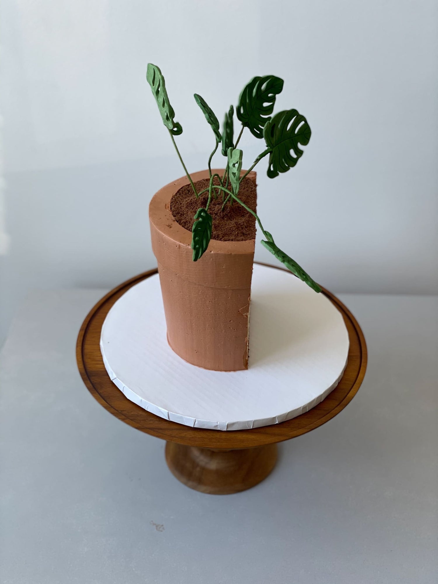 Potted plant - custom cake