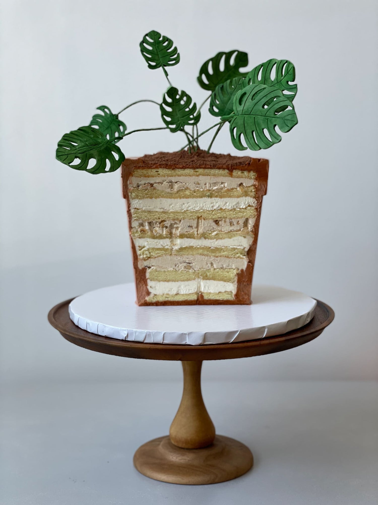 Potted plant - custom cake