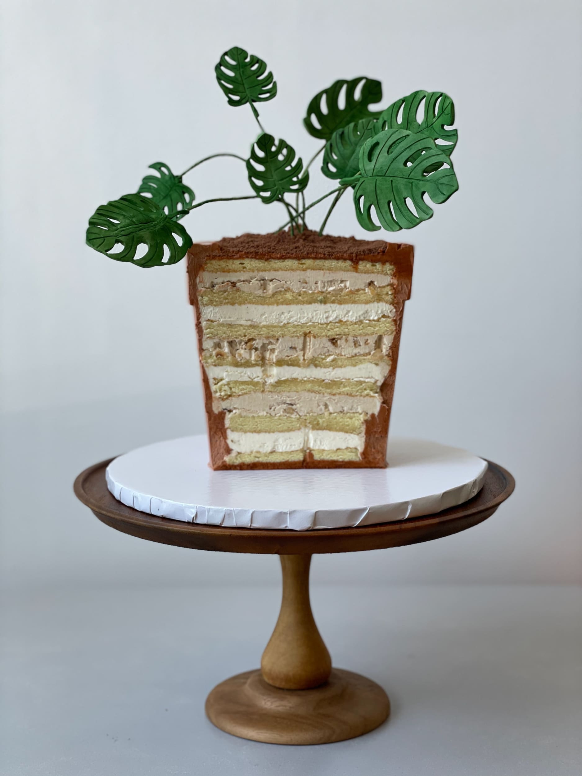 Potted plant - custom cake