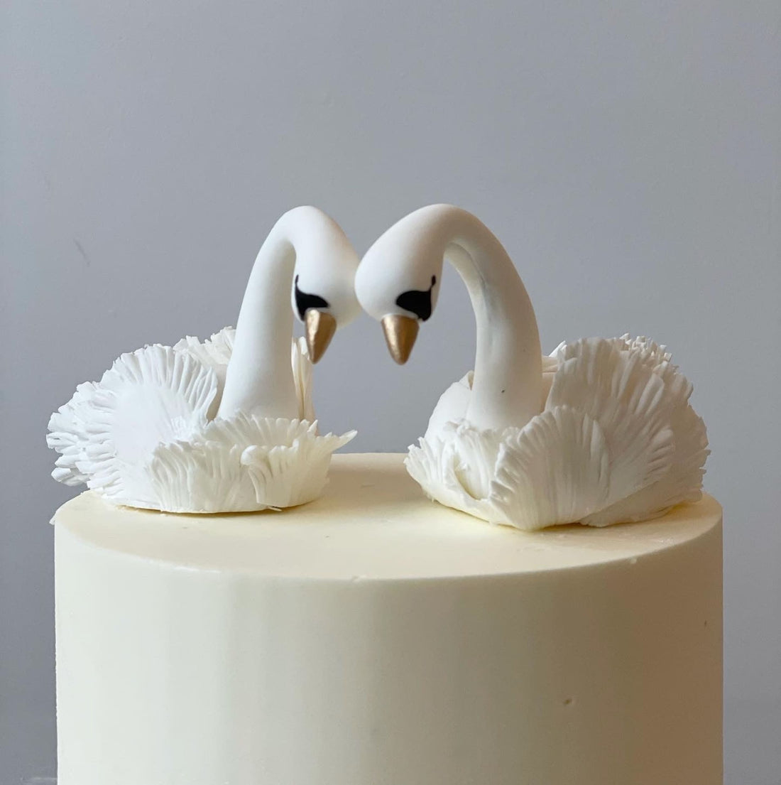 Swan love on buttercream - custom cake