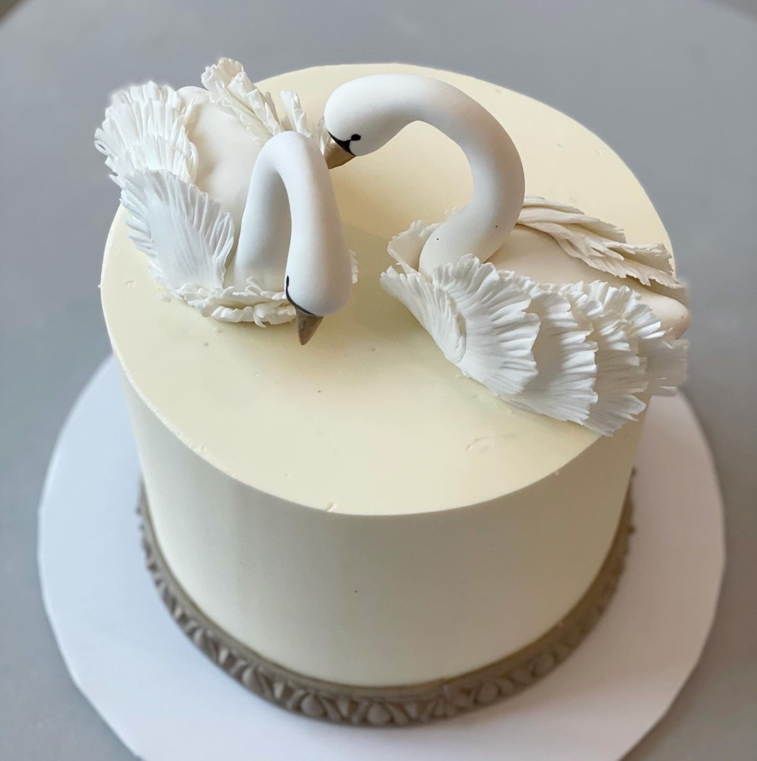 Swan love on buttercream - custom cake