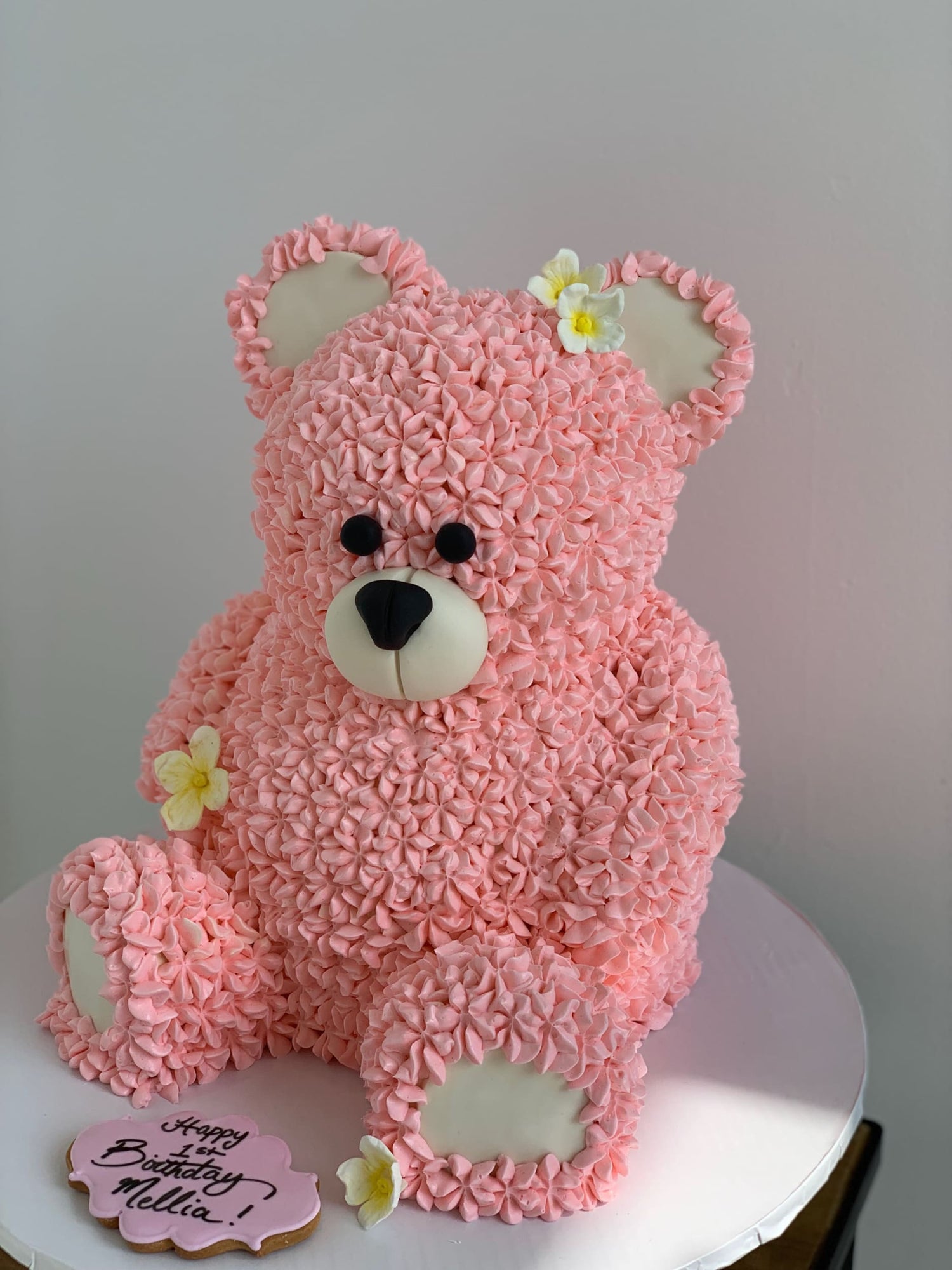 Whimsical 3d animal cake - custom cake