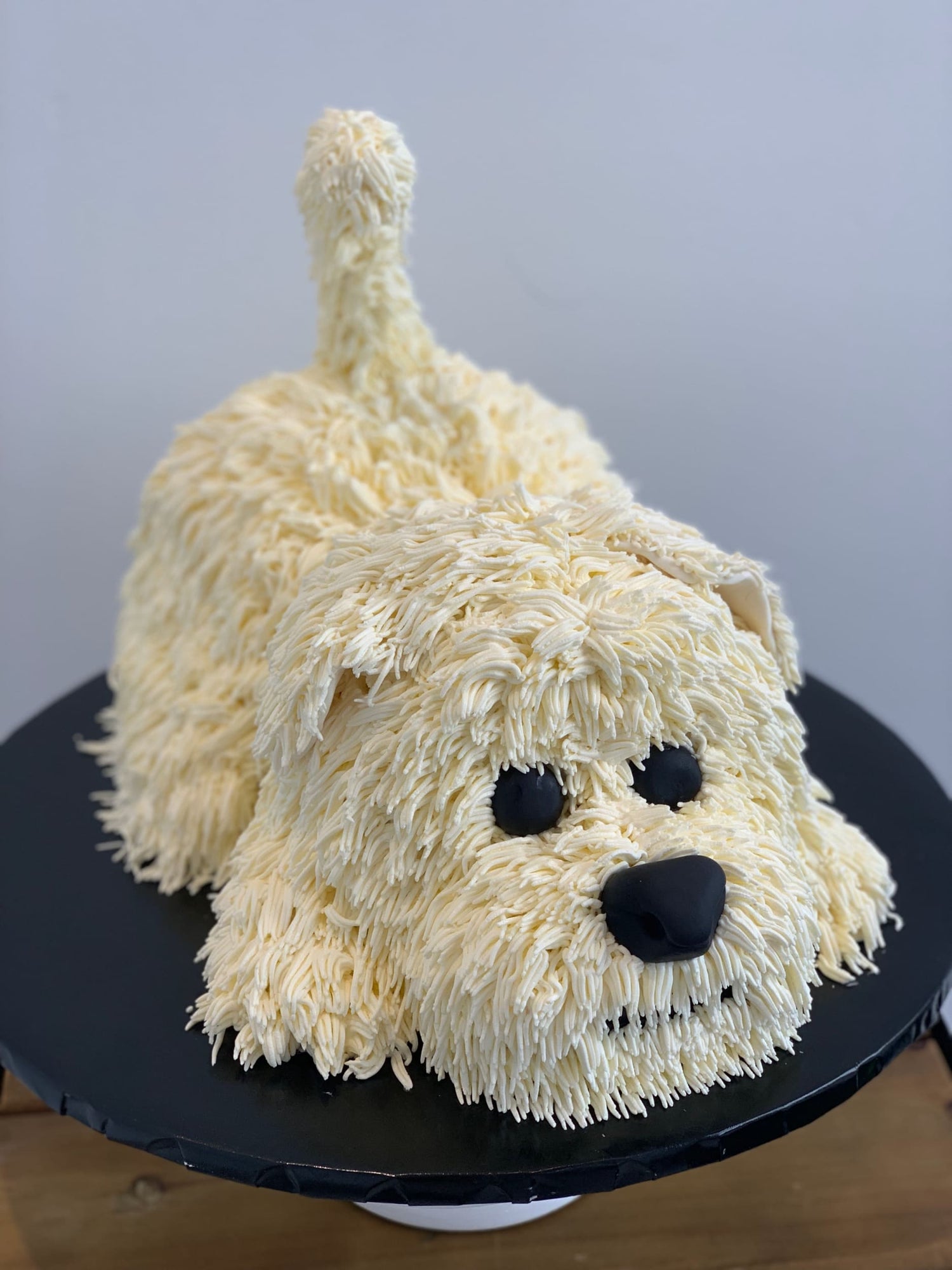 Whimsical 3d animal cake - custom cake